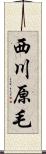 西川原毛 Scroll