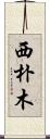 西朴木 Scroll