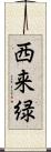 西来緑 Scroll