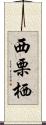 西栗栖 Scroll