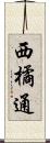 西橘通 Scroll
