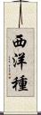 西洋種 Scroll