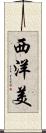西洋美 Scroll