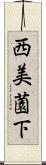 西美薗下 Scroll