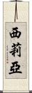 Cilia Scroll