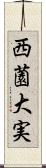 西薗大実 Scroll