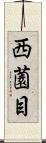 西薗目 Scroll