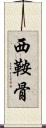 西鞍骨 Scroll