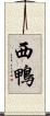 西鴨 Scroll