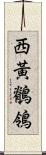 西黃鶺鴒 Scroll