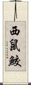 西鼠鮫 Scroll