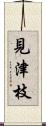 見津枝 Scroll