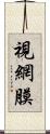 視網膜 Scroll
