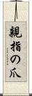 親指の爪 Scroll