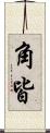 角皆 Scroll