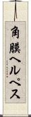 角膜ヘルペス Scroll