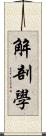 解剖學 Scroll