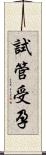 試管受孕 Scroll