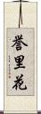 誉里花 Scroll