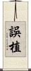 誤植 Scroll