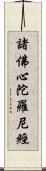 諸佛心陀羅尼經 Scroll