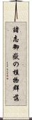 諸志御嶽の植物群落 Scroll
