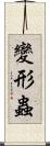 變形蟲 Scroll