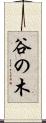 谷の木 Scroll