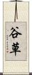 谷草 Scroll