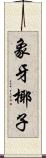 象牙椰子 Scroll