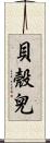貝殼兒 Scroll