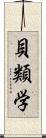 貝類学 Scroll