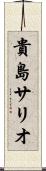 貴島サリオ Scroll
