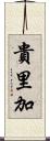 貴里加 Scroll