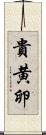 貴黄卵 Scroll