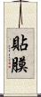 貼膜 Scroll