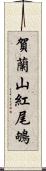 賀蘭山紅尾鴝 Scroll