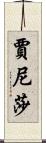 Janixa Scroll