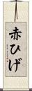 赤ひげ Scroll