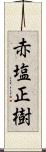 赤塩正樹 Scroll