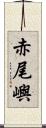 赤尾嶼 Scroll