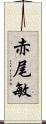 赤尾敏 Scroll