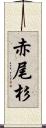 赤尾杉 Scroll