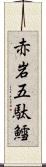 赤岩五駄鱈 Scroll