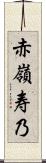赤嶺寿乃 Scroll