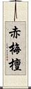 赤梅檀 Scroll