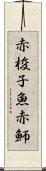 赤梭子魚 Scroll