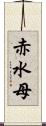 赤水母 Scroll