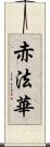 赤法華 Scroll