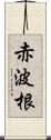 赤波根 Scroll